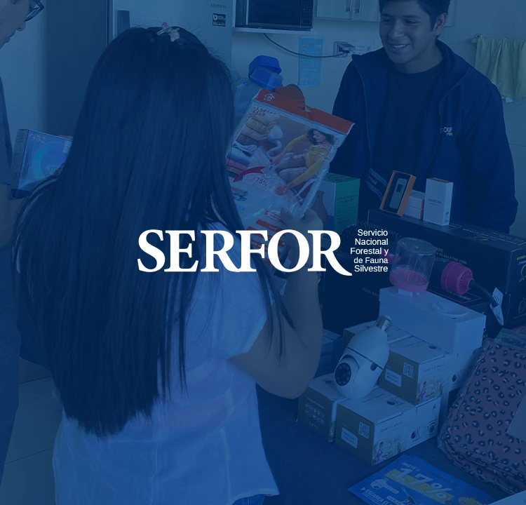 Imagen de la categoría 6